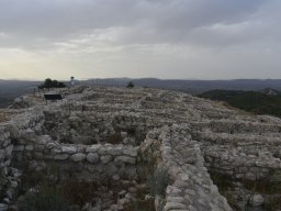 Yacimiento de la Almoloya 2023